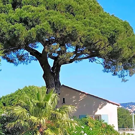 Hotel La Quinta Comfortable 3*